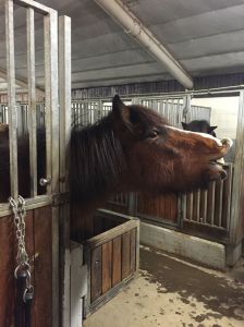 I think he likes me?