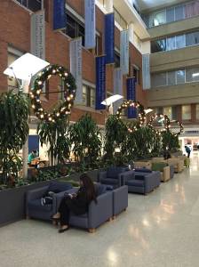 Speaking of Christmas, they decorated the hospital lobby yesterday. So festive. 